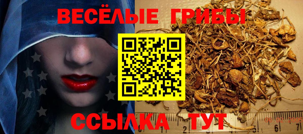 Галлюциногенные грибы прущие грибы  Вход с VPN  Псилоцибиновые грибы Magic Shrooms  купить наркотики цена  Нягань 