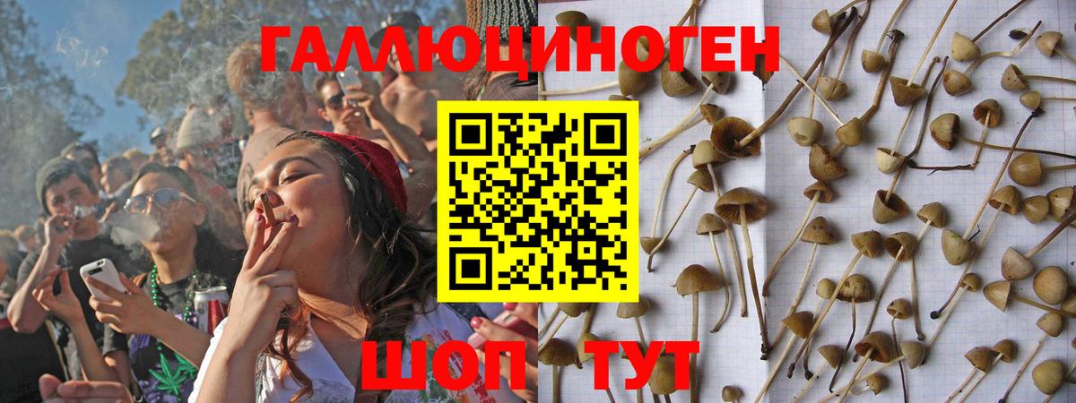 Галлюциногенные грибы мухоморы Нягань